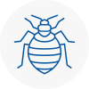 Bed Bug Extermination In Heage
