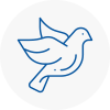 Bird Prevention Heage