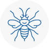 Heage Hornet Nest Removals