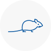 Mice Exterminators In Heage