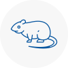 Rat Control Heage