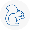 Heage Rodent Removals