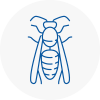 Heage Wasp Nest Removal